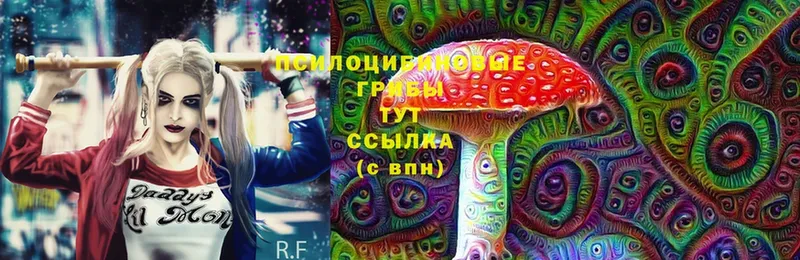 Галлюциногенные грибы MAGIC MUSHROOMS  цены наркотик  Краснотурьинск 